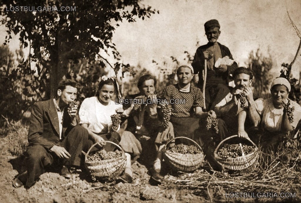 Село Крумово (Варненско), гроздобер, 1935 г.