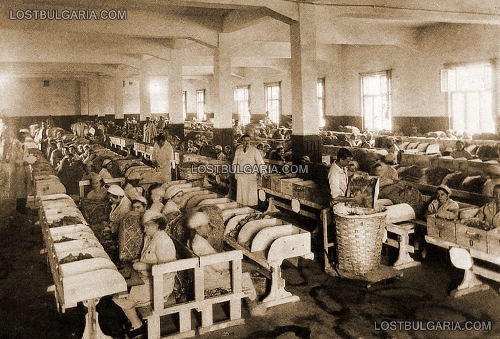 Сортировъчен цех във фабрика за тютюн, 30-те години на ХХ век