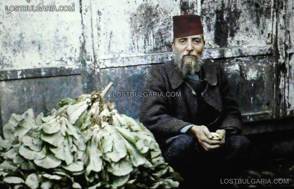 Солун, възрастен мюсюлманин до купа тютюневи листа, 1912г.