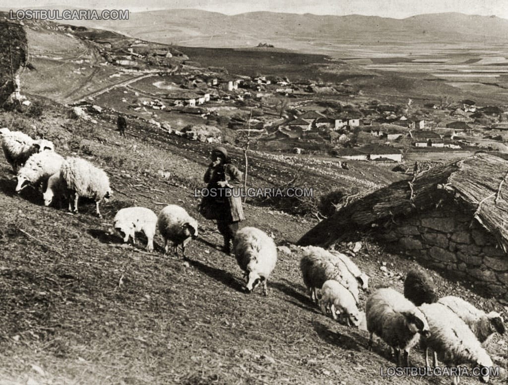 Овчар със стадото си (чобанин), 20-те години на ХХ век