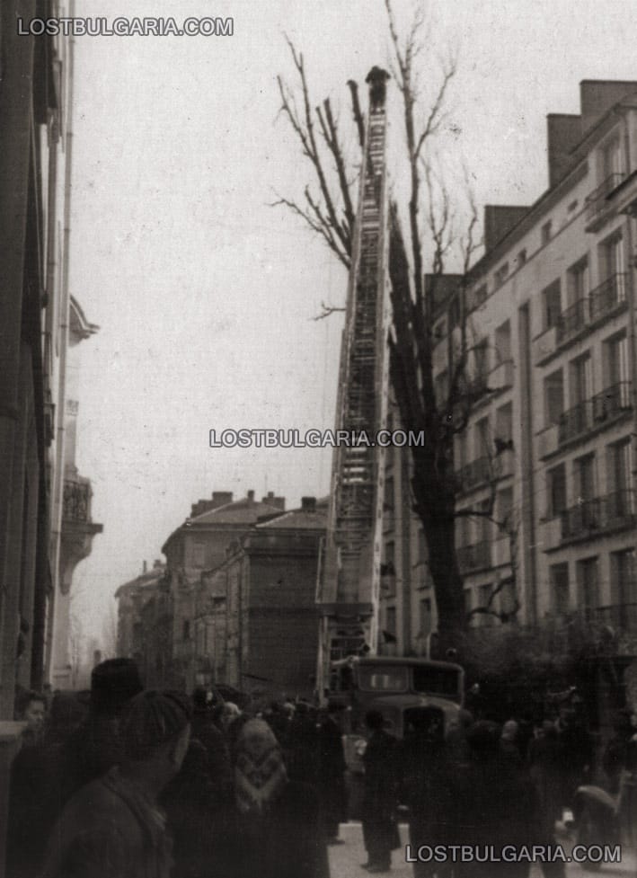 София, улица "Славянска" - рязане на високо дърво с помощта на моторна пожарна стълба, 40-те години на ХХ век