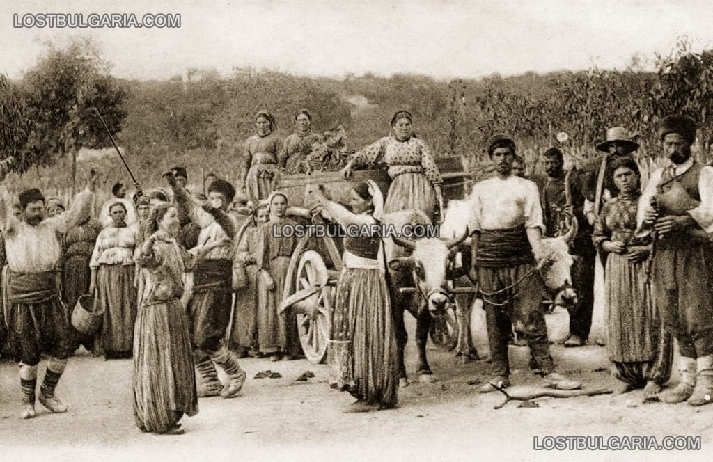 Гагаузи от село Кестрич - днес квартал Виница във Варна, на гроздобер в Евксиноград, началото на ХХ век