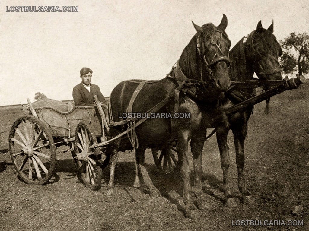 Български турчин от село Кокарджа - днес Бояна (Варненско), в стопанството си, 30-те години на ХХ век