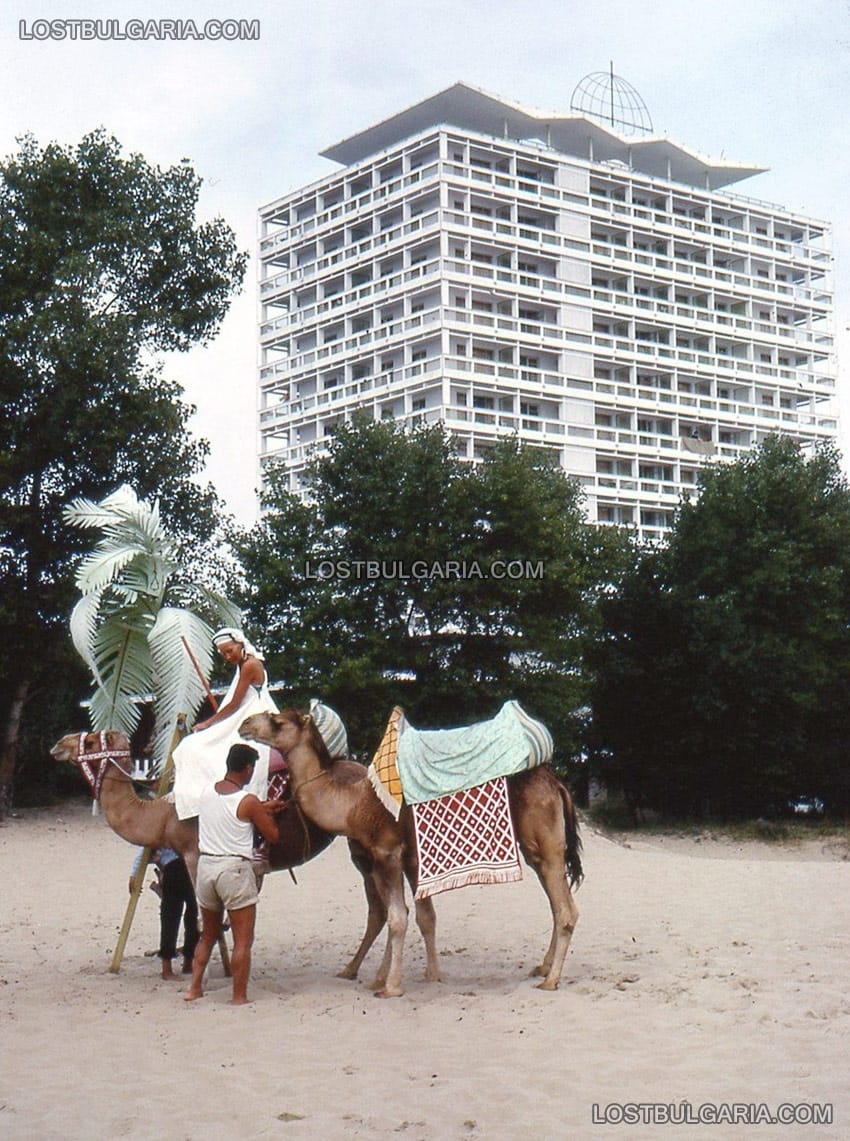 Слънчев бряг, туристически атракцион - разходка с камили, отзад хотел "Глобус", 60-те години на ХХ век