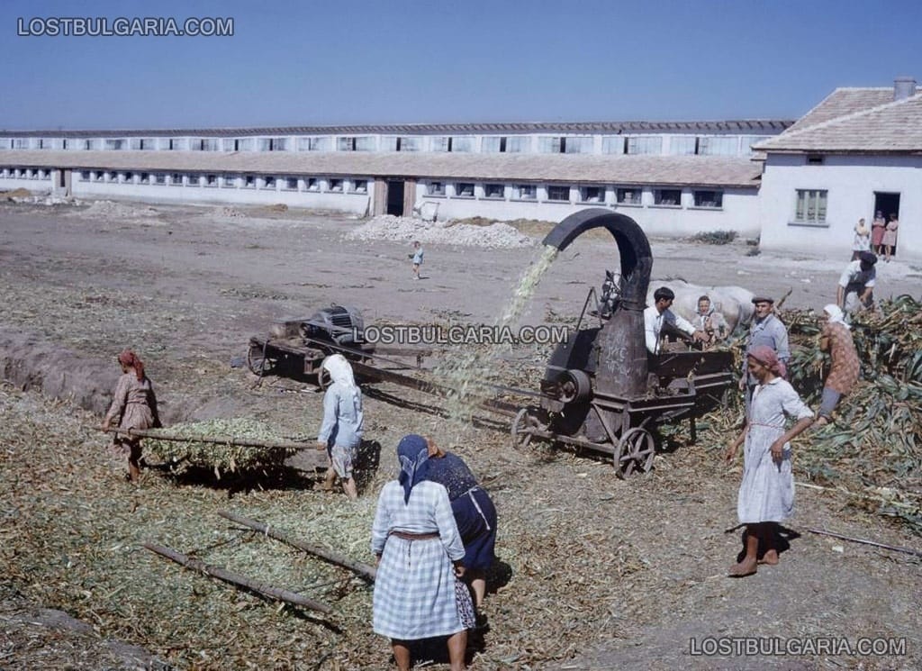 В двора на ТКЗС (Трудово Кооперативно Земеделско Стопанство), машина за приготвяне на силаж (силажиране), 60-те години на ХХ век