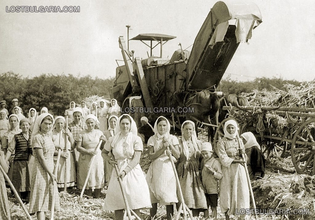 Жътва в село Кокарджа - днес Бояна, Варненско - 1956 г.