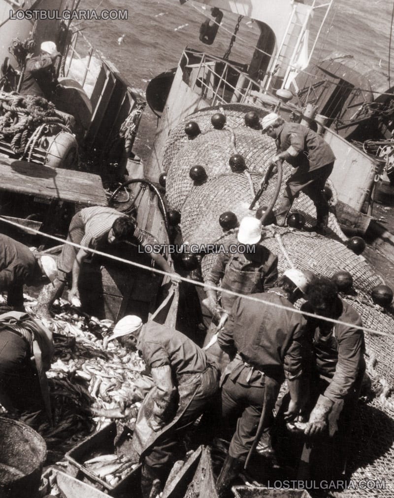 Изтегляне на пълните мрежи, промишлен риболов в Черно море, началото на 70-те години на ХХ век