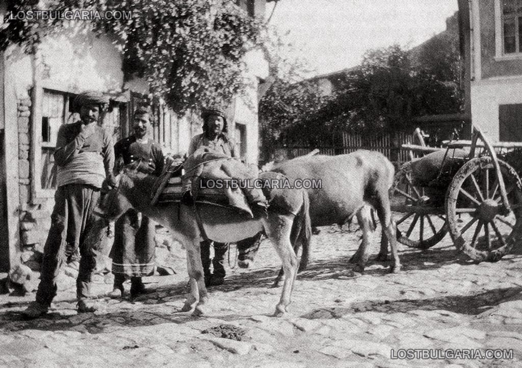 Турци с магарешка каруца, Търново, началото на ХХ век