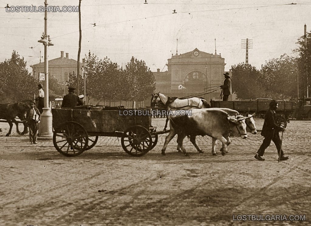 София, волски и конски каруци - товарни таксита на гарата, 20-те години на ХХ век