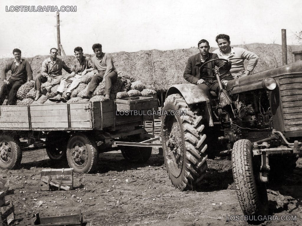 Прибиране на реколтата в ТКЗС село Калояново, Пловдивско, 1962 г.