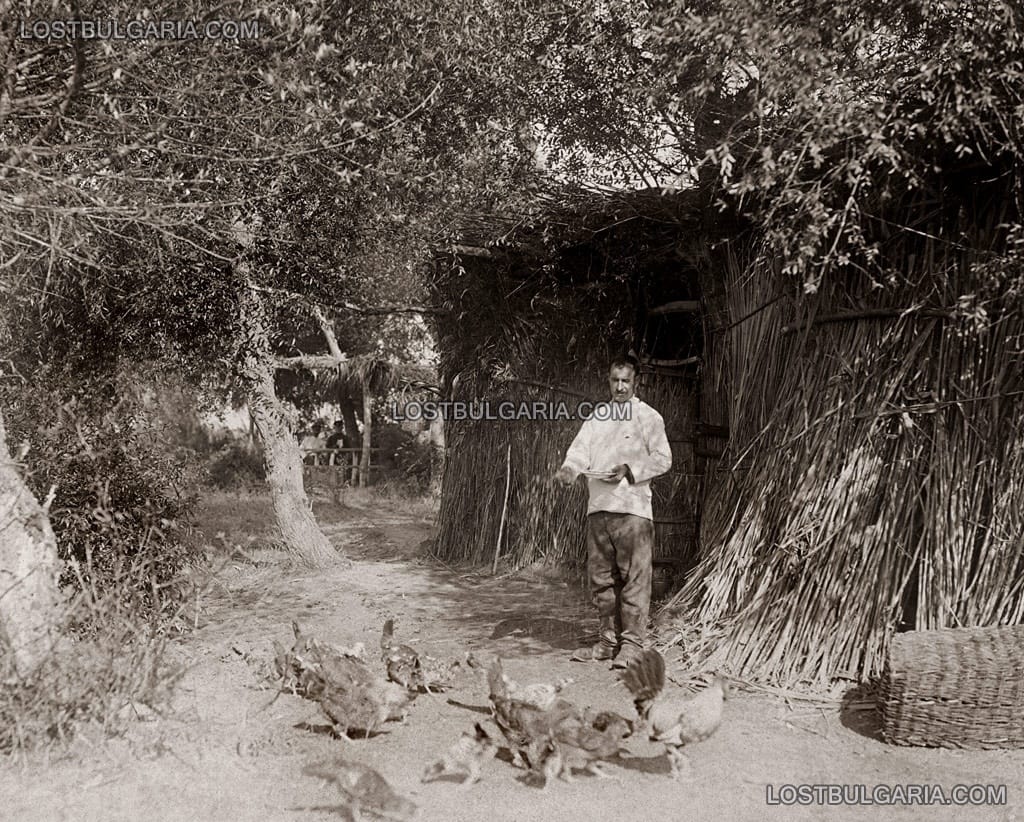 Готвач храни кокошките от обоза на 23-ти пехотен Шипченски полк, 1917г.