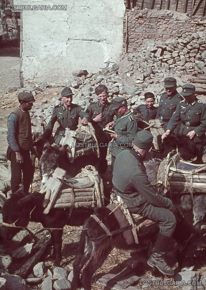 Немски войници в българско село по време на преминаването на Вермахта през страната, 1941 г.