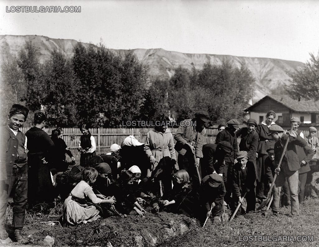 Ученици обработват ученическо опитно поле, Разлог 1925г.