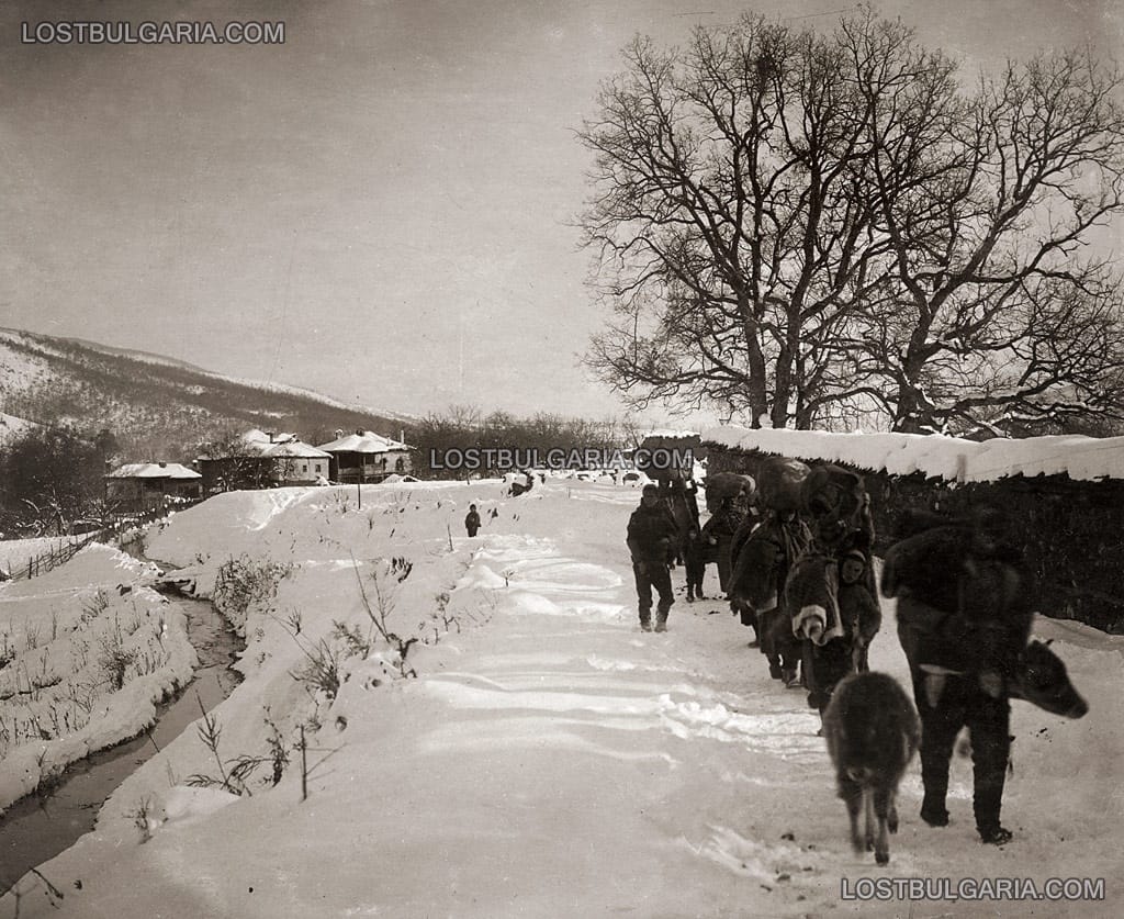 Завръщане на българите бежанци в село Гостивар, 1915 г.