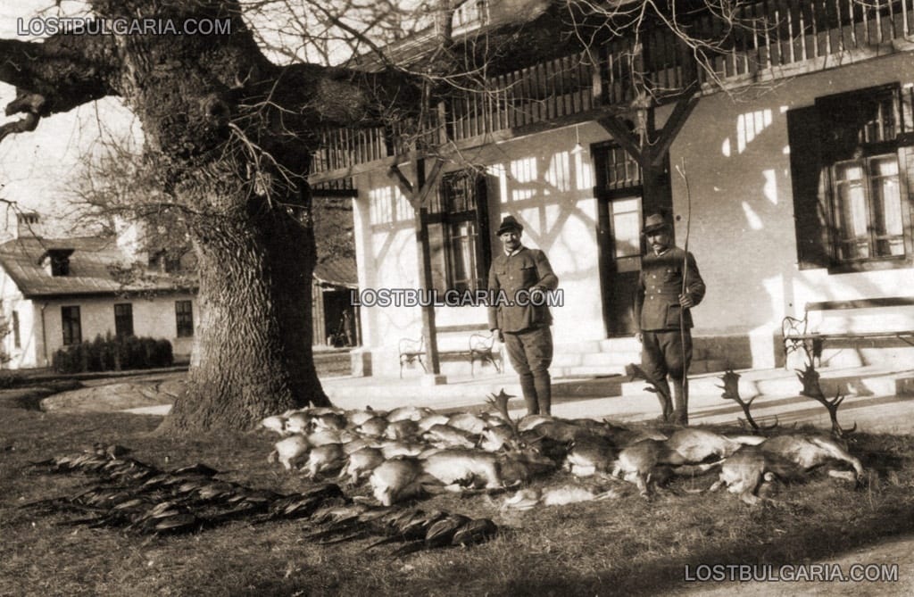 Дивеч отстрелян по време на царски лов, пред ловна резиденция, 30-те години на ХХ век