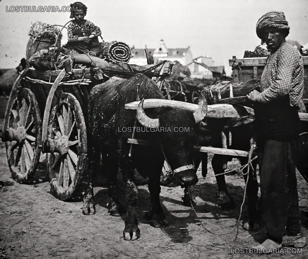 Цигани с биволски впряг, Русчук (Русе), около 1912 г.