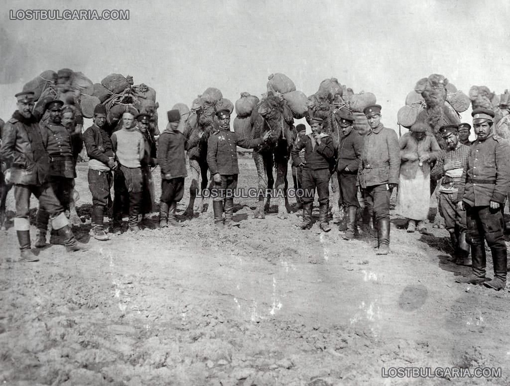 Части от българския обоз, съоръжени с трофейни турски камили, 1912 г.