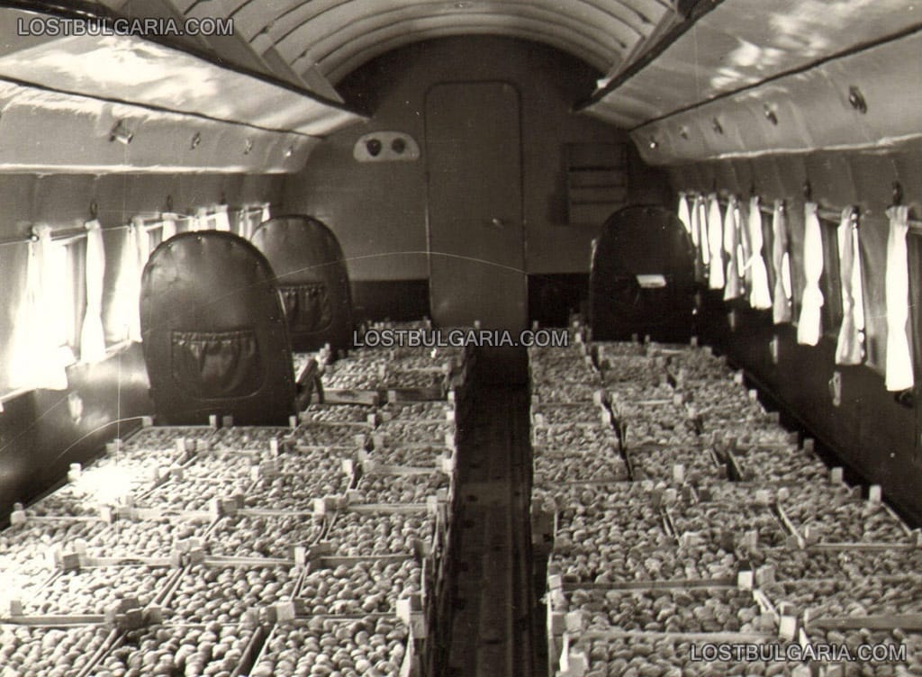 Пътнически самолет, приспособен за товарен - касетки с ягоди, 50-те години на ХХ век