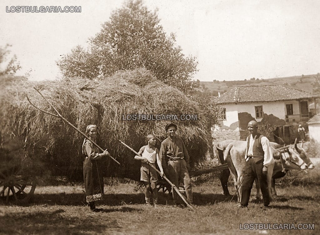 Село Владая до София, след сенокос, 1928г.