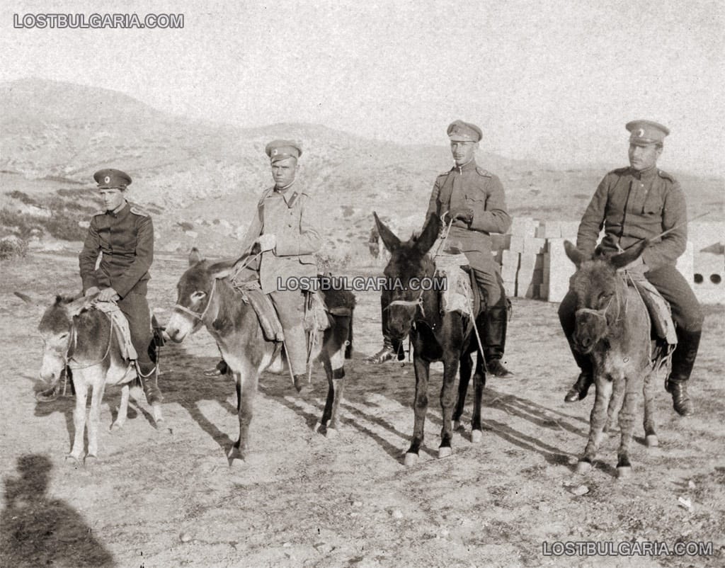 Магарешки транспорт. Южния фронт, 1917 г.