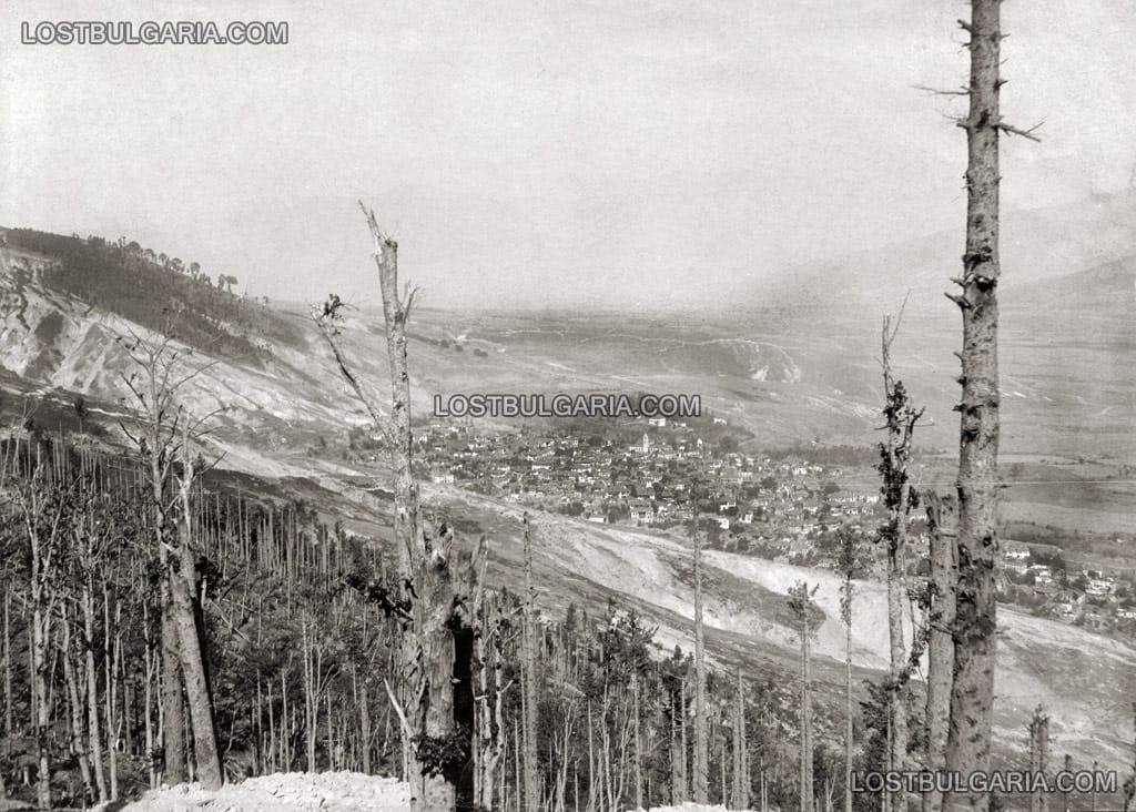 Изглед от Червената стена към с. Магарево и Вардище. Дърветата са окастрени от взривове и стрелба. Южния фронт, 24 септември 1917 г.