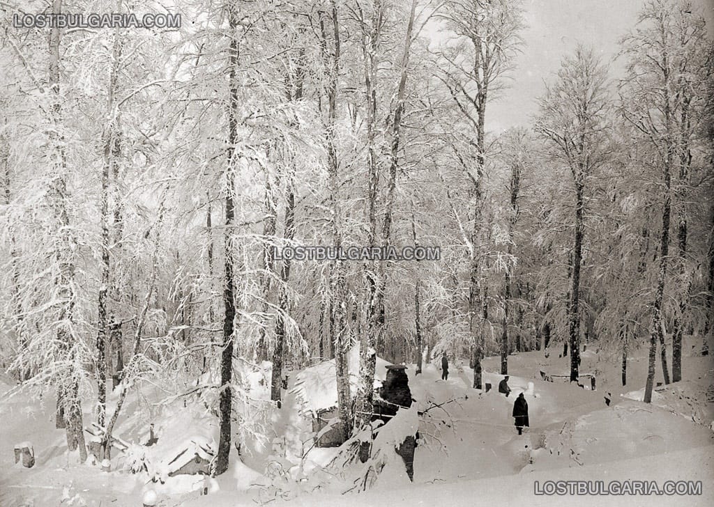 Землянките на Щаба на 22-ри артилерийски полк затиснати в снега, 1917 г.