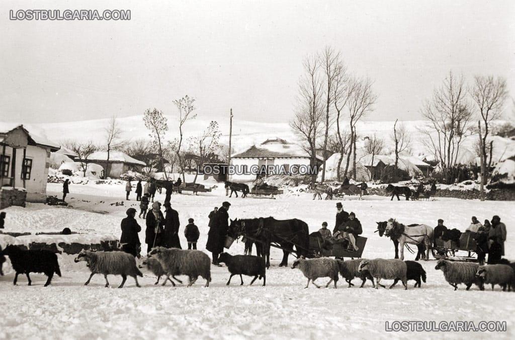 На път с шейни, зимата на 1941-42 г.