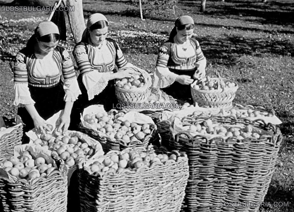 Жени, облечени в народни носии с реколта от ябълки в плетени кошове, 30-те години на ХХ век