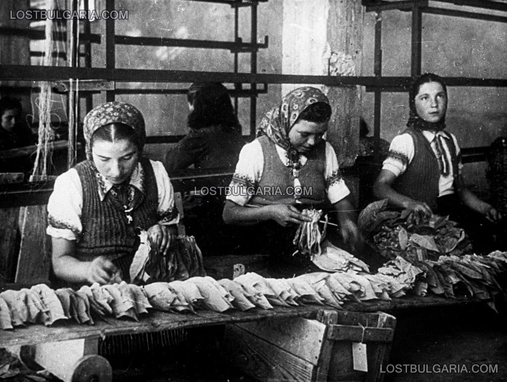 Работнички нижат тютюневи листа, 30-те години на ХХ век