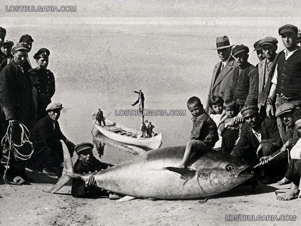 Месемврия (Несебър), рибари и граждани с уловена 210 килограмова риба, 1930 г.