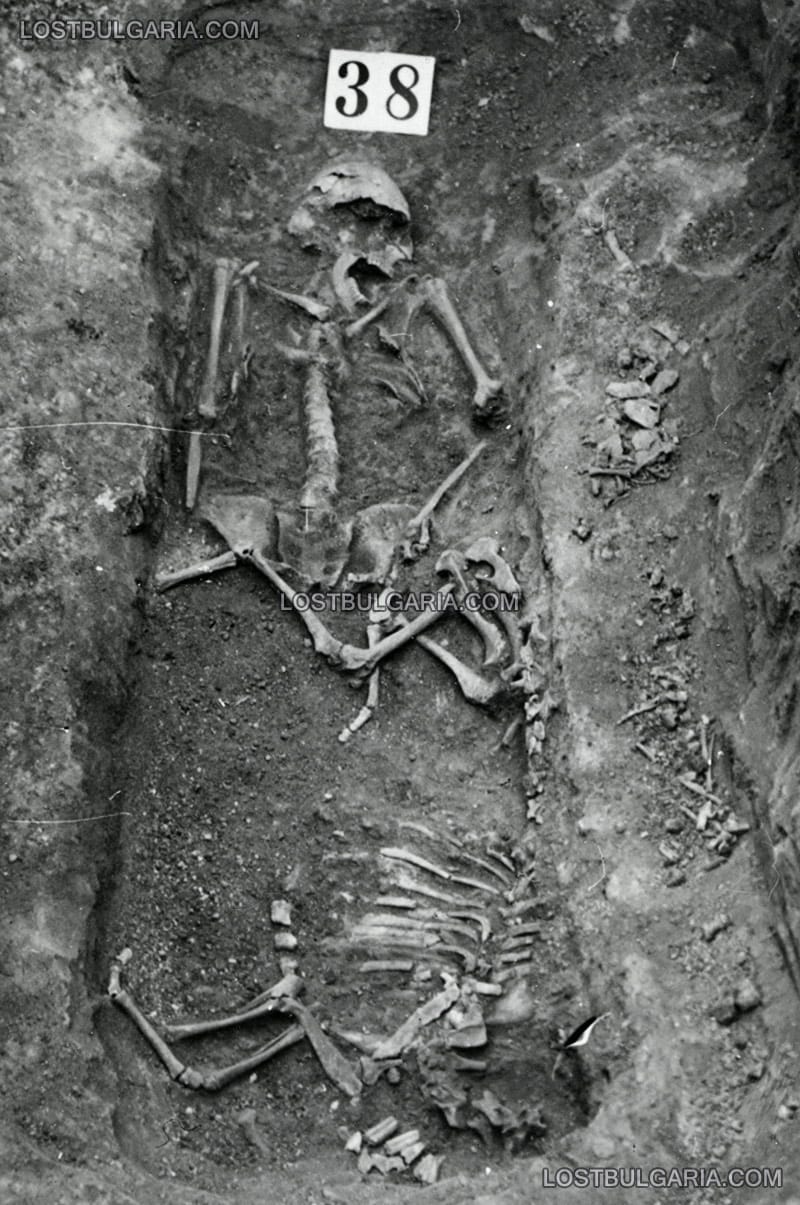 Разкопки в близост до Нови пазар, гроб 38 с кости от агне, 1955 г.