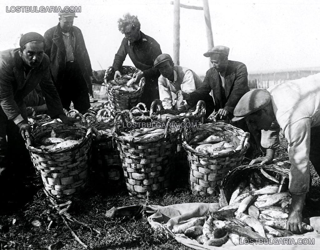 Рибари с богат улов от черноморска скумрия, надписана: "Образцово риболовно стопанство Български черноморски риболовец", вероятно 30-те години на ХХ век, неизвестно къде