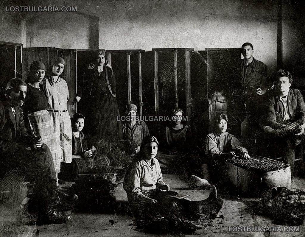 Работници сортират тютюн в склад за тютюн, Пазарджик, 1926 г.