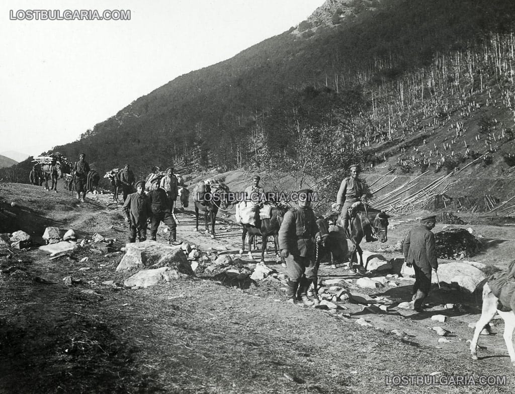 Из частите на 3/6 бригада: Подвозване на храна към предните линии, 1917 г., Южния фронт