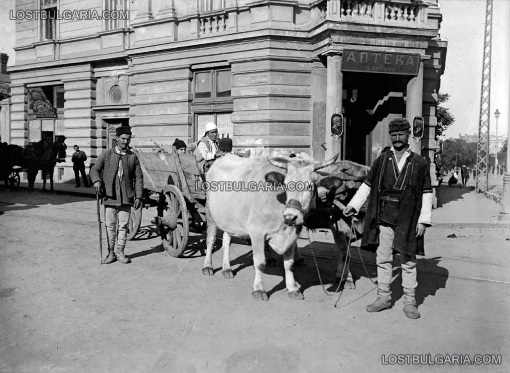 София, селско семейство с каруца пред аптека на ул. "Граф Игнатиев" - ъгъла с ул. "Дякон Игнатий", началото на ХХ век