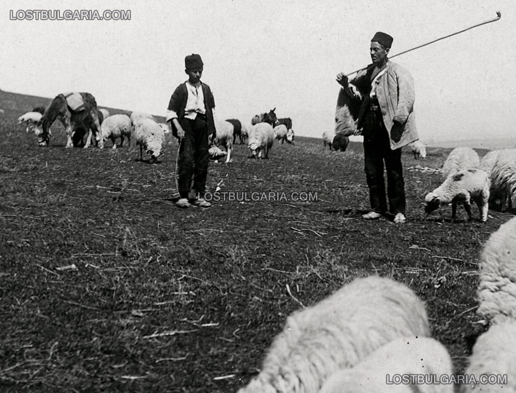 Овчари от Софийско, 20-те години на ХХ век