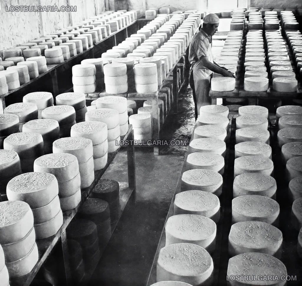 Цех за производство на кашкавал в местността "Беглика" в Родопите, 50-те години на ХХ век