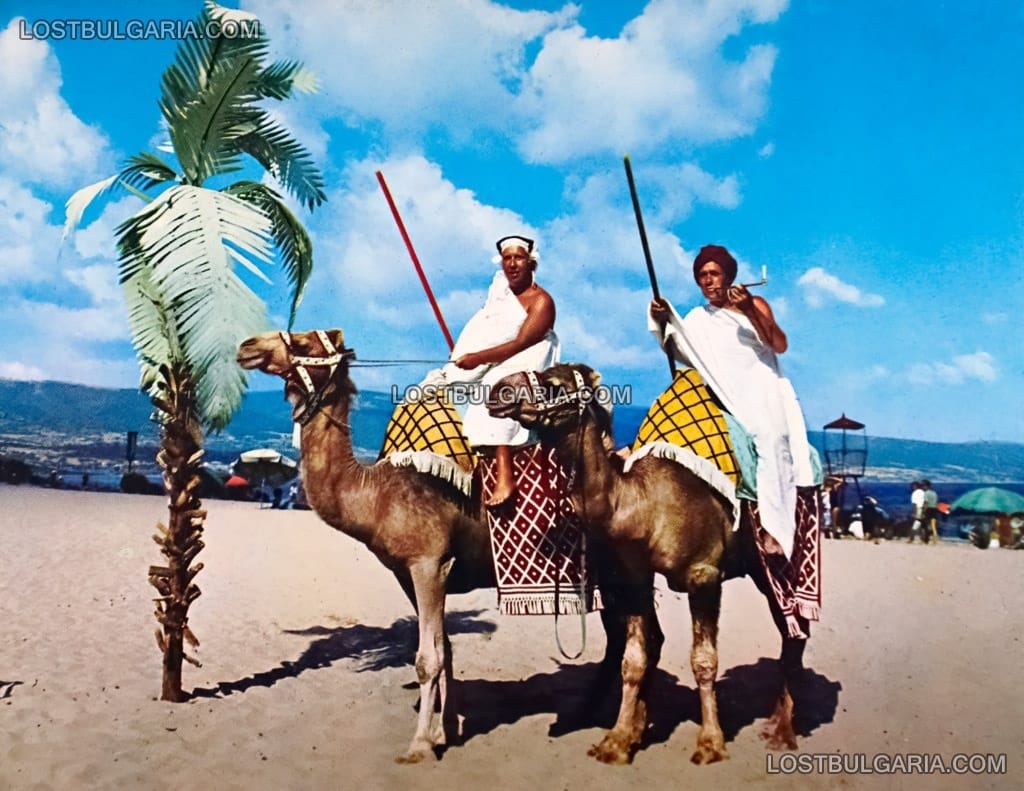 Слънчев бряг, туристическа атракция - разходка с камили по плажа, 70-те години на ХХ век