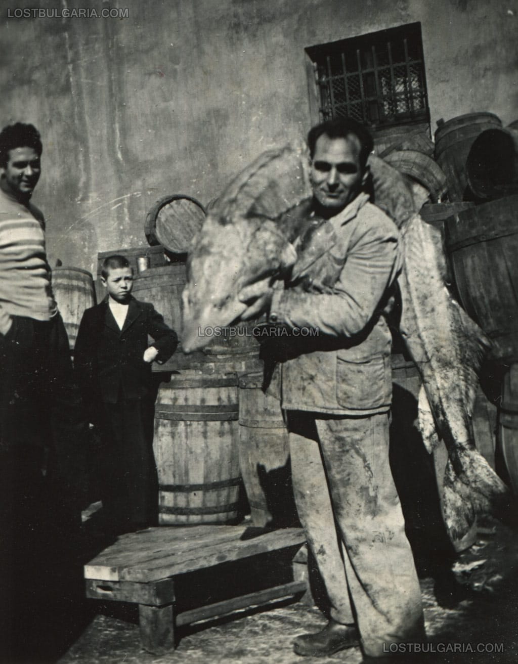 Мъж позира с уловена огромна риба, неизвестно къде, 30-те години на ХХ век